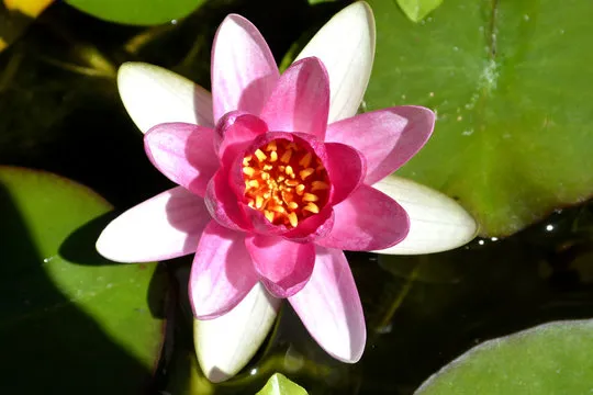 专业团队